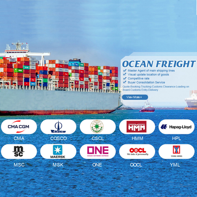 OOG BBK 40ft Container International Ocean Shipping China To Jordan Dla ogólnego ładunku