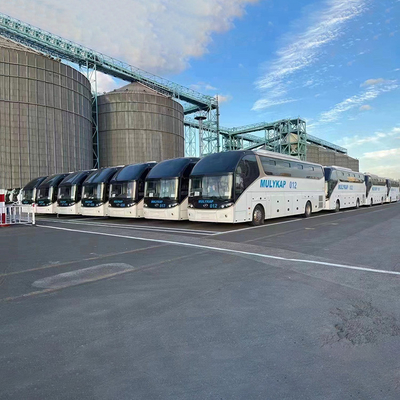 Z Chin do Singapuru Usługi żeglugi morskiej Profesjonalna firma logistyczna Transport nadwagi towarów